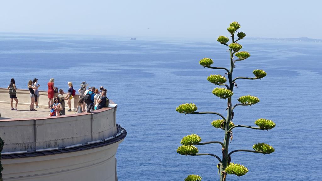 Chambre Chez L'Habitant Nice Baie Des Anges Exteriér fotografie